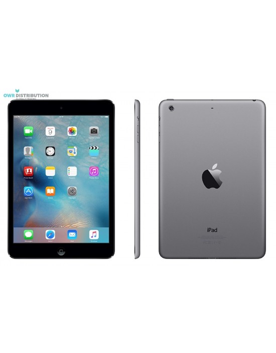 iPad Mini 2 Wifi